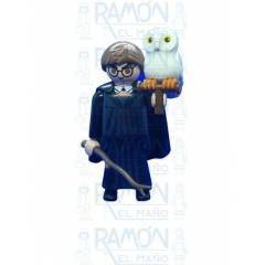 Custom Playmobil Harry Potter